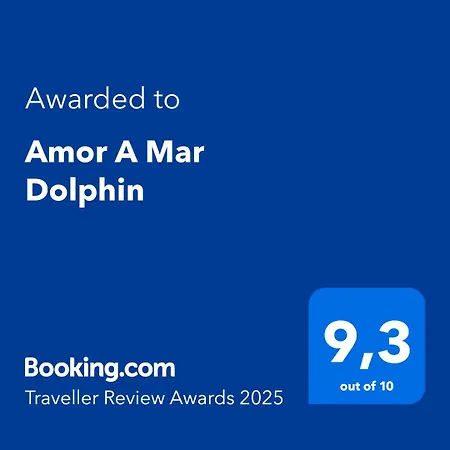 A Mar Dolphin * Puerto del Carmen (Lanzarote)
